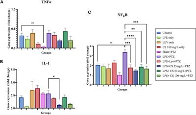 Channa Striatus Protects Against PTZ-Induced Seizures in LPS Pre-conditioned Zebrafish Model